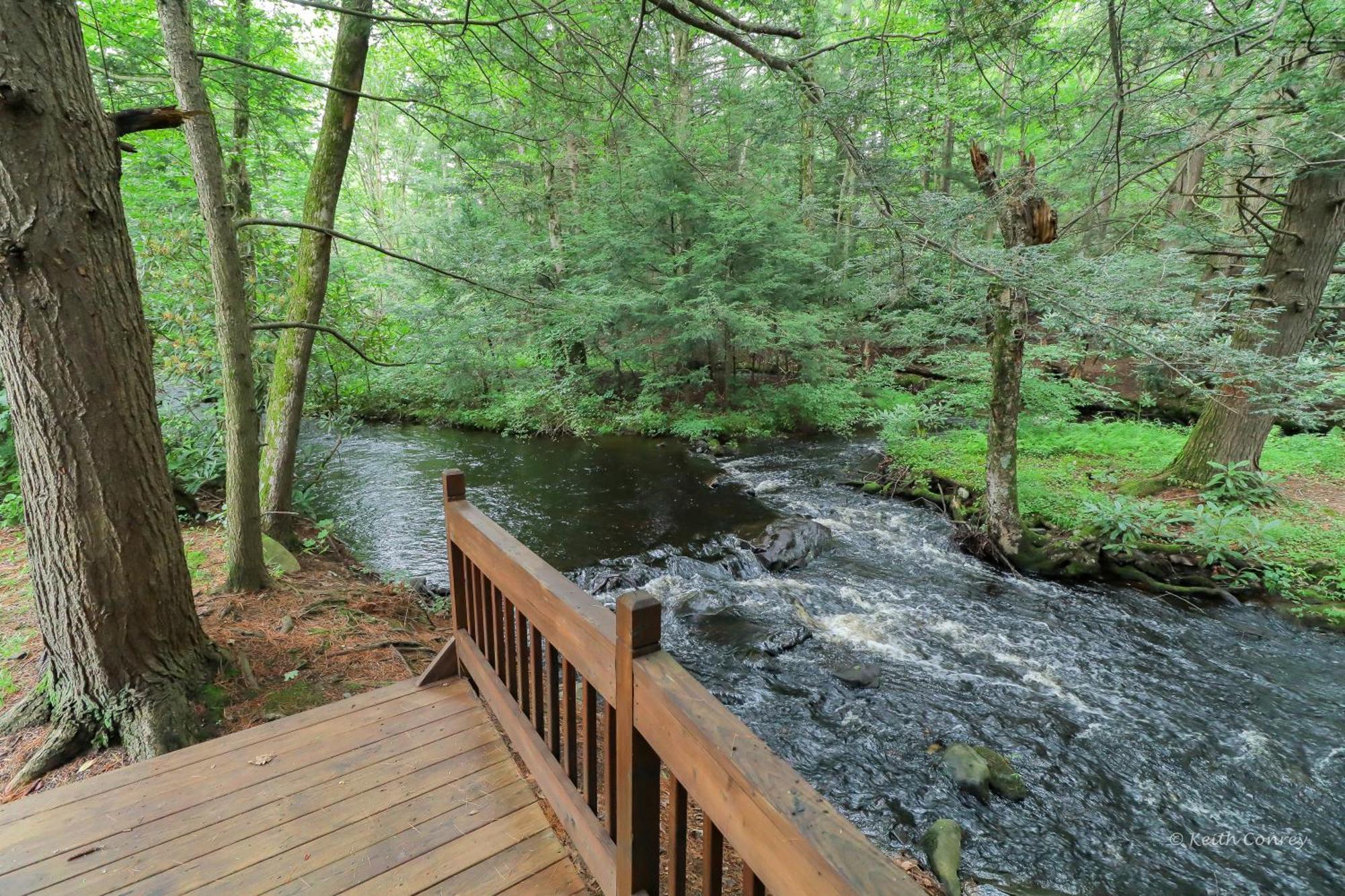 Magnolia Streamside Resort Canadensis Szoba fotó